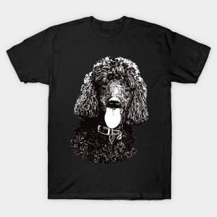 Poodle - Poodle Christmas Gifts T-Shirt